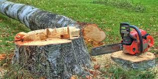 Best Hazardous Tree Removal  in Rowland Heights, CA
