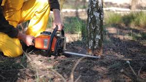 Best Lawn Watering Services  in Rowland Heights, CA