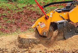 Best Soil Testing and Treatment  in Rowland Heights, CA